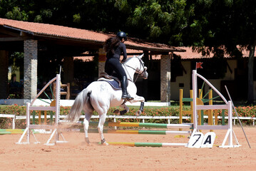 woman riding a horse, show jumping, equestrian show jumping, equestrian competition, rider show jumping, obstacle course, cross country show jumping, young woman, equestrian training, horse riding
