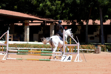 woman riding a horse, show jumping, equestrian show jumping, equestrian competition, rider show jumping, obstacle course, cross country show jumping, young woman, equestrian training, horse riding
