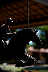 silhouette of a rider jumping on a horse, silhouette, horse silhouette, blurred background
