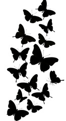 Fototapeta premium Ephemeral Dance of Shadows AI Generated