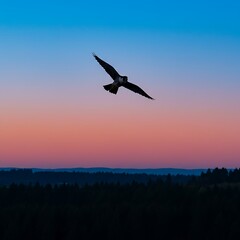 Naklejka premium Twilight Flight