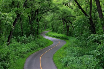 Serpentine Road Through Verdant Forest Canopy Eye Level Perspective Lush Greenery Nature Scene