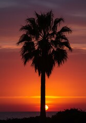 Crimson Sunset Silhouette AI Generated