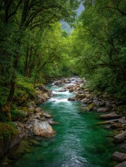 Fototapeta premium Emerald River Flowing Through Lush Green Forest, Scenic Landscape, Tranquil Nature Scene, Serene Atmosphere, Environmental Beauty