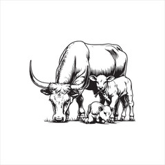 Black and White Vector of  Texas Longhorn Cow – Easy Tracing Illustration