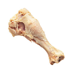 eaten bone of chicken leg, no meat, isolate [Transparent Background PNG].