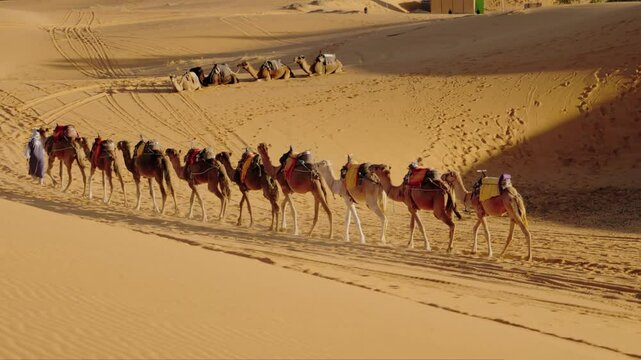 Camels walk in a line across the Moroccan desert. A person in traditional Moroccan garb walks in front, leading the camels across the sandy expanse.