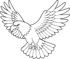 Fototapeta premium flying bald eagle line art silhouette vector, eagle line art illustration, eagle line art clipart