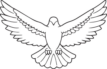 Fototapeta premium flying bald eagle line art silhouette vector, eagle line art illustration, eagle line art clipart