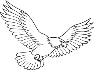 Fototapeta premium flying bald eagle line art silhouette vector, eagle line art illustration, eagle line art clipart