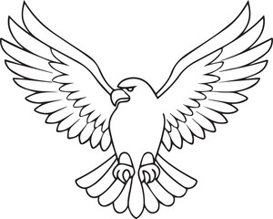 Fototapeta premium flying bald eagle line art silhouette vector, eagle line art illustration, eagle line art clipart