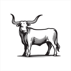 Fototapeta premium Black and White Vector of Texas Longhorn Cow – Easy Tracing Illustration
