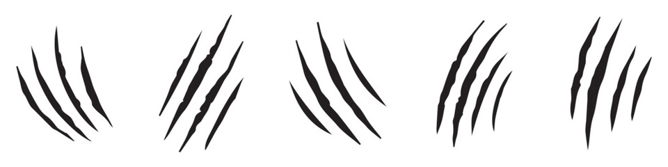 Obraz premium Animal claw scratches mark set. Claw scar. Realistic set of animal claws. Wild animal claws scratch texture. Vector-eps 10
