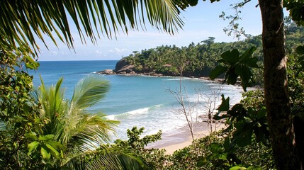 tropical beach with palm trees and sea