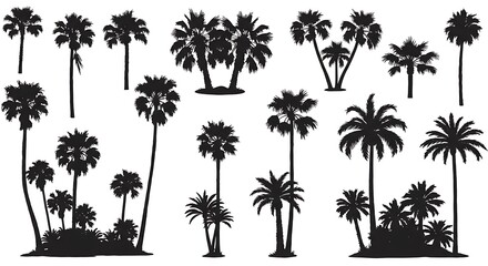 Palm Silhouette Collection AI Generated