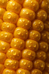 Close-Up of Fresh Corn Kernels with Water Droplets Macro Food Texture Photography

