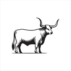 Fototapeta premium Black and White Vector of Texas Longhorn Cow – Easy Tracing Illustration