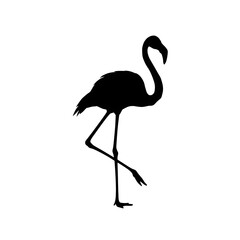 Fototapeta premium Silhouette of Serenity