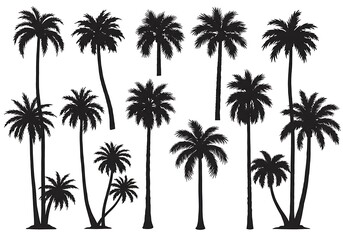 Palm Silhouette Symphony AI Generated