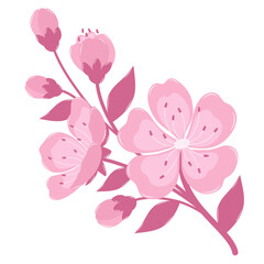 A Blooming Cherry Blossom Flower Branch. Flat and Simple Pink Sakura.
