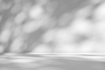 Abstract white studio room with light and shadow from window and tree leaves background for product...