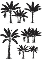 Banana Grove Silhouettes