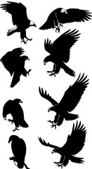 Obraz premium Eagle Flight: Silhouette Series