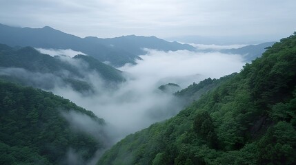 mist over the mountains