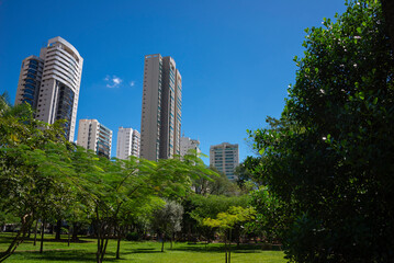 Flamboyant park in Goiania, Brazil
