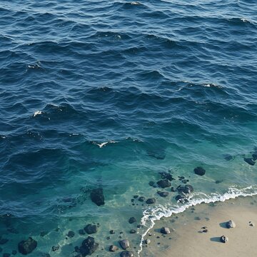 Ocean's Embrace: Digital Tides