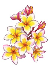 Naklejka premium Golden Embrace of Dawn