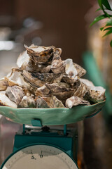 Pile of empty oyster shells arranged on a vintage kitchen scale in a close-up shot