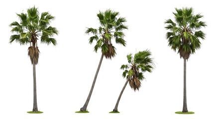 Palm Grove Symphony AI Generated