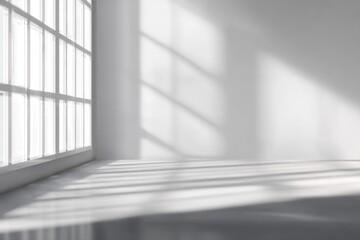 Obraz premium Minimalist White Room Interior with Large Window and Sunlight Casting Shadows on the Floor from Low Angle