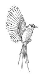 Winged Grace: Ink Flight