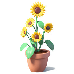 Obraz premium Potted plant with five yellow sunflowers indoors, adding cheer and warmth to interior spaces, perfect for botanical or home decor concepts.