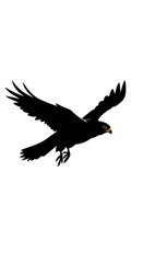 Shadow Wings, Silent Flight