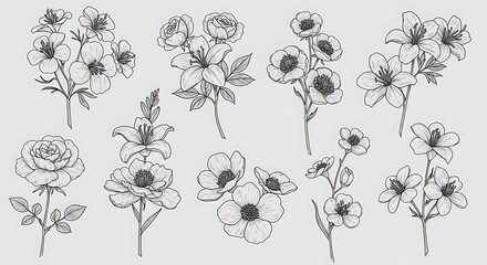 Botanical Linework Reverie