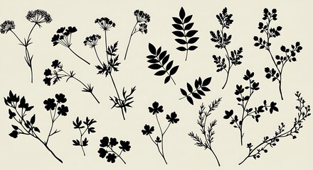 Botanical Shadowscape
