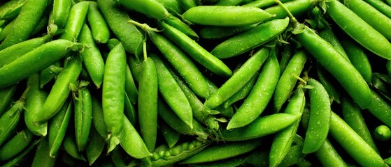 Fresh Green Pea Pods Close Up Heap of Organic Produce at Farmers Market Overhead Shot Healthy Eating Ingredient