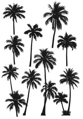Silhouette Palm Grove AI Generated