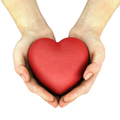 Fototapeta premium Hands holding a red heart symbolizing love care compassion and emotional warmth isolated on white background