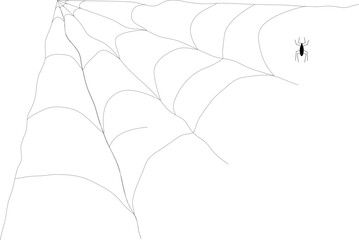 Halloween Spider Web Element