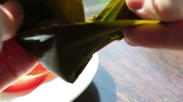 Hand holding zongzi rice dumpling with savoury fillings wrapped in bamboo or reed leaves.