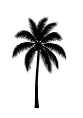 Midnight Palm Silhouette AI Generated