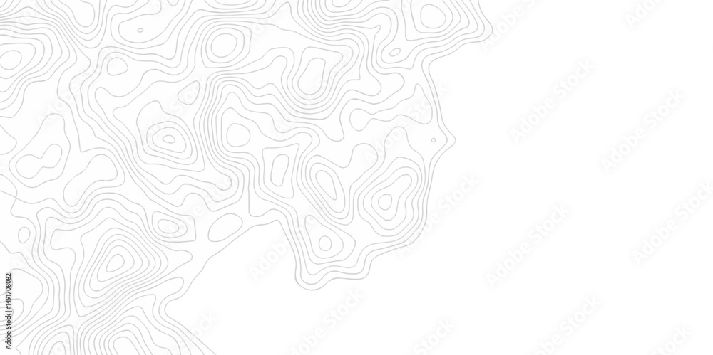 Poster abstract minimal white curve grid map and topo contour map white background. topographic contour lin