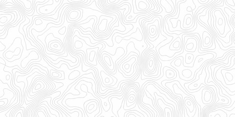Abstract minimal white curve grid map and topo contour map white background. Topographic contour lines. Seamless pattern with lines Topographic map texture design.