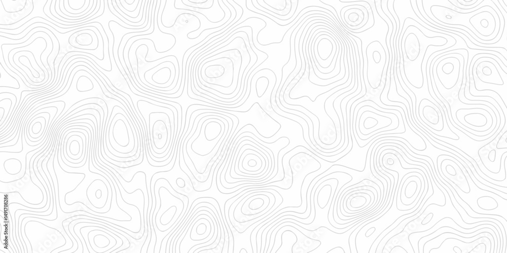 Poster abstract minimal white curve grid map and topo contour map white background. topographic contour lin