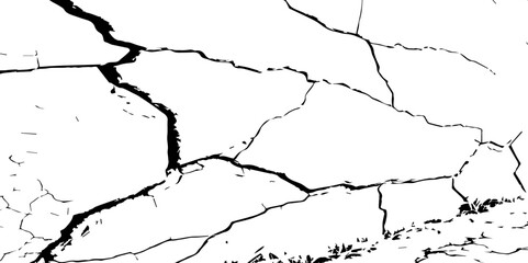 Cracked Earth Vector Texture with Transparent Background – High-Detail Grunge Overlay of Dry, Distressed Lines and Natural Ground Erosion
