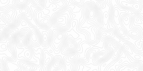 Abstract minimal white curve grid map and topo contour map white background. Topographic contour lines. Seamless pattern with lines Topographic map texture design.